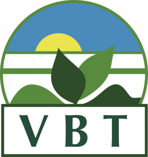 Logo VBT